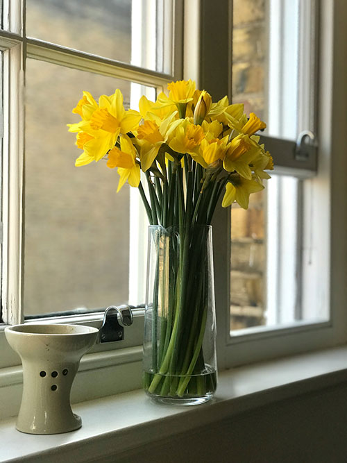 red spring flowers